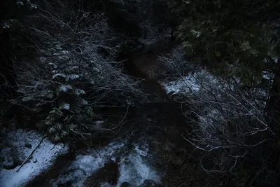 DSC_5845 (Large).JPG